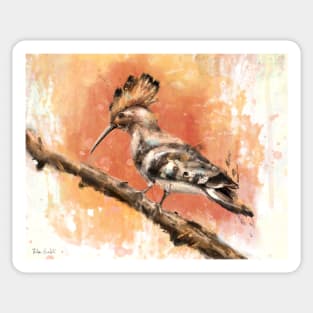 Painting of Hoopoe Standing on a Tree Branch on Orange Background Sticker